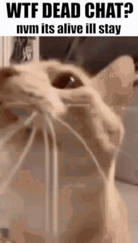 Its Alive Gif File 1476kb GIF