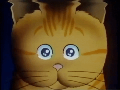 Its Beautiful Crying Cat GIF