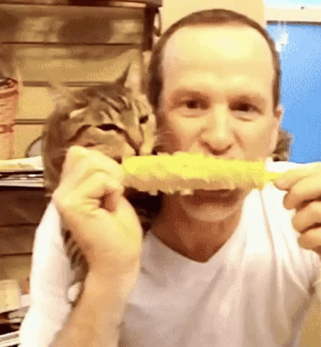 Its Corn Cat And Human Eating Together GIF