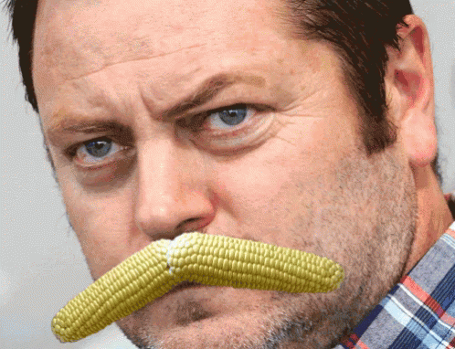 Its Corn Moustache Nick Offerman GIF
