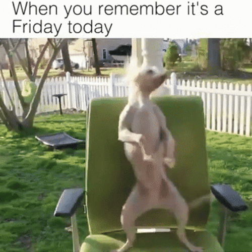 Its Friday Meme Today GIF