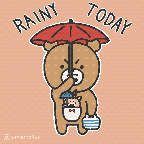 Its Gonna Rain Brown Bear GIF