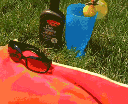 Its Hot Dog Bikini Sunbathing GIF