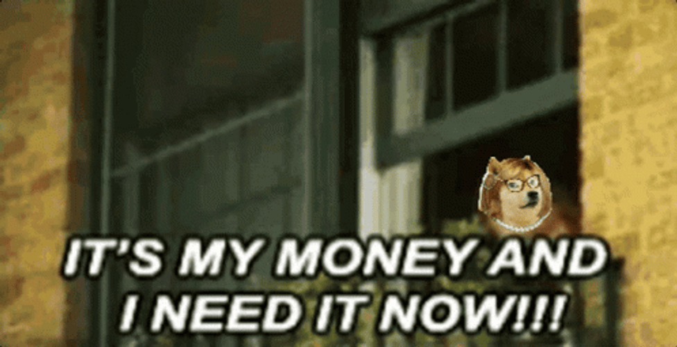 Its My Money And I Need It Now GIF
