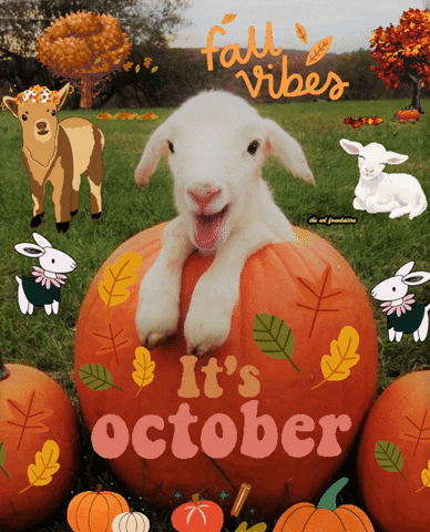 Its October Fall Vibes Cute Goat GIF