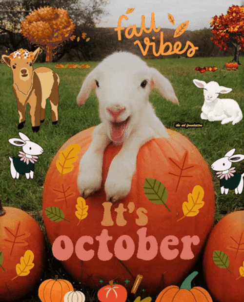 October Fall My Little Pony Animation GIF GIFDB