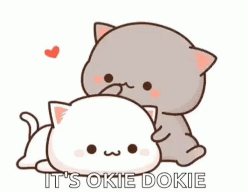 Its Okay Dokie Cats GIF