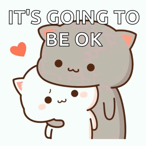 Its Okay It's Going To Be Okay Cats GIF