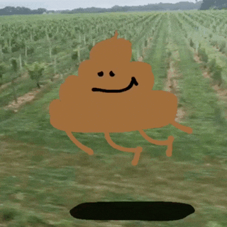 Its Poop Again Flying In Grass GIF