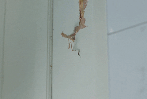 Its Poop Again Smashing Door For Toilet GIF