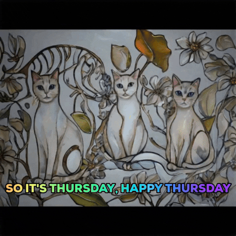 Its Thursday Three White Cats GIF