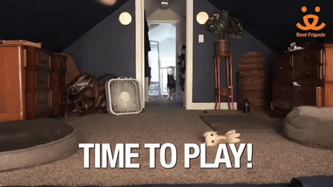 Its Time To Play The Game Chaotic Dogs GIF