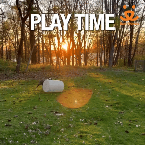 Its Time To Play The Game Hyper Dog GIF