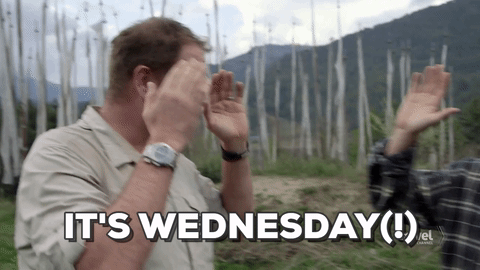 Its Wednesday Happy Hump Day Meme GIF