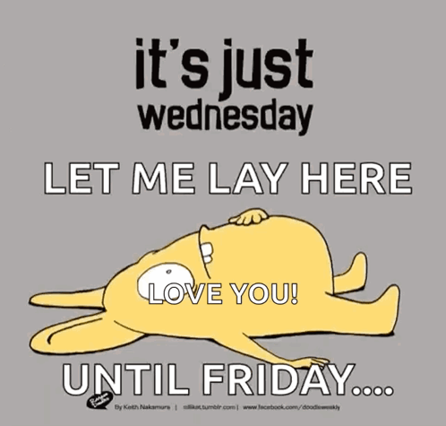 Its Wednesday Let Me Lay Here Love You GIF