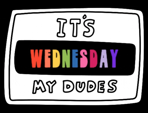 Its Wednesday My Dudes Sticker GIF