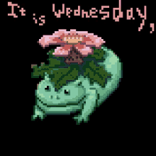 Its Wednesday My Dudes Venusaur Pokemon Species GIF