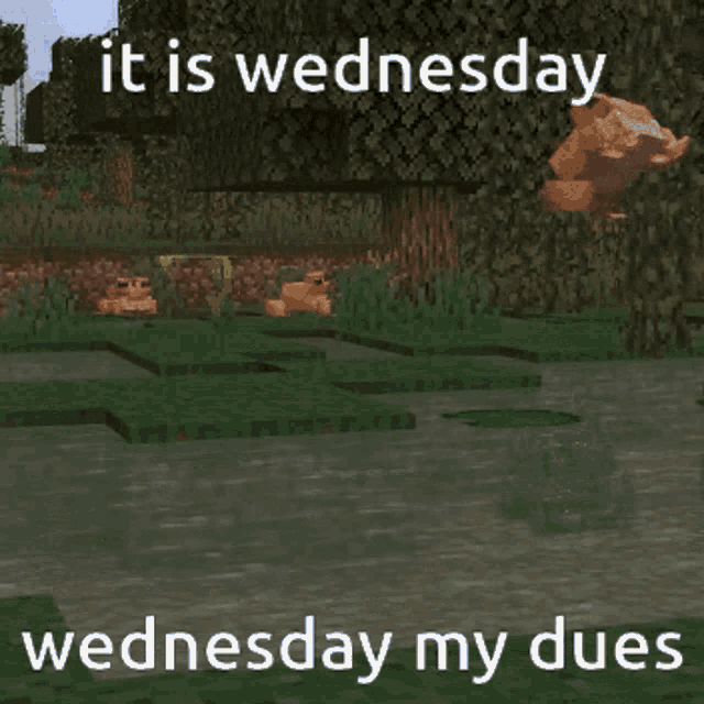 Its Wednesday My Dudes Video Game Frogs GIF