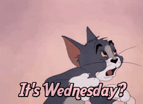 Its Wednesday Shocked Jerry Cat GIF