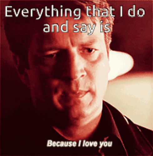 Its What I Do Actor Nathan Fillion GIF