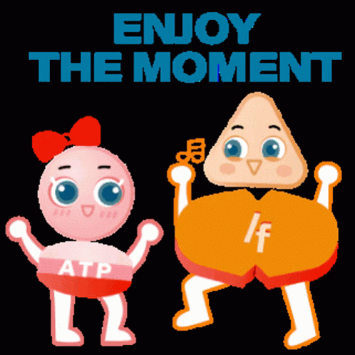 Ivabradine And Trimetazidine Enjoy The Moment GIF