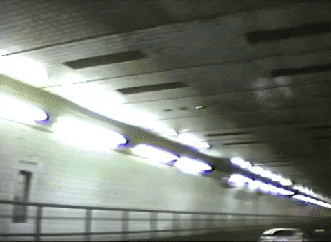 Jack Antonoff New York New Jersey GIF