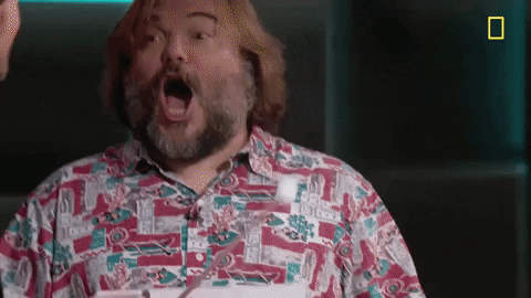 Jack Black Brain Games Show Happy Wow GIF