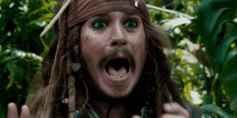 Jack Sparrow Pirate Of The Caribbean Screaming GIF