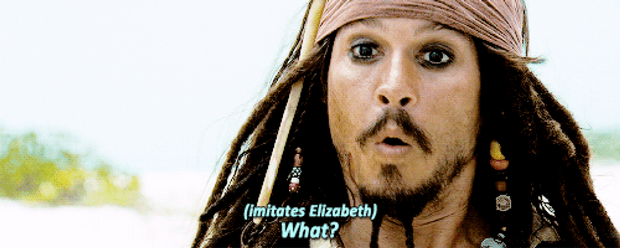 Jack Sparrow Pirate Of The Caribbean What GIF