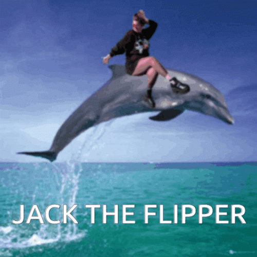 Jack The Flipper Dolphi GIF