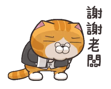 Jacketed Cat with Chinese Writing