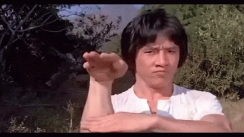 Jackie Chan Fight Training GIF
