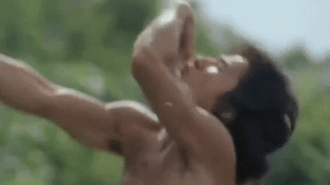 Jackie Chan Master Parody Funny GIF