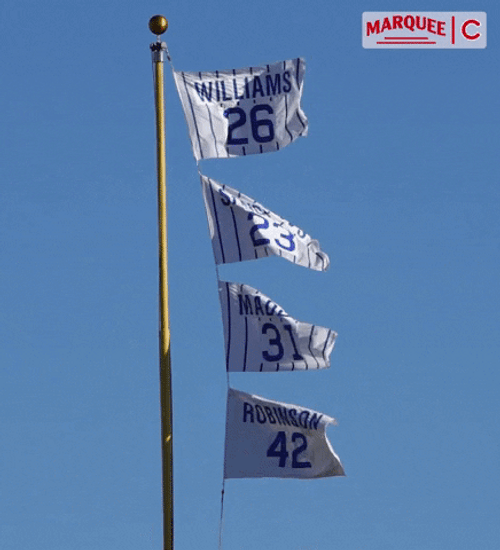 Jackie Robinson Chicago Cubs Flags GIF
