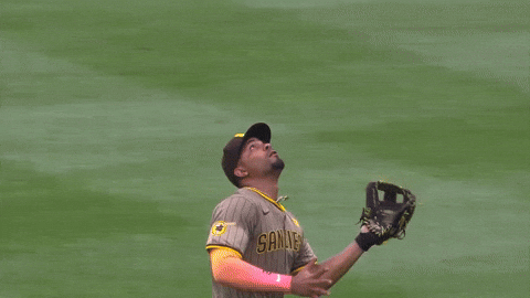 Jackson Merrill Proud Catch GIF