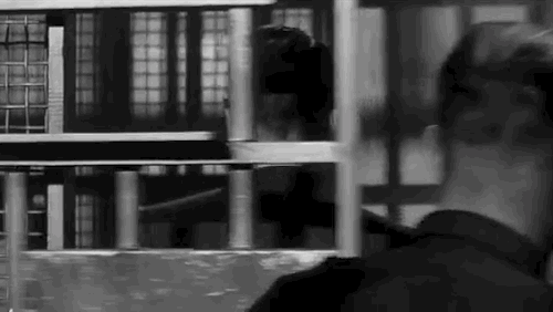 Jackson Right To Jail GIF