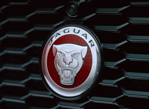 Jaguar Circle Logo In Car GIF