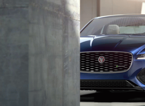 Jaguar Driving License Plate 901 UCN