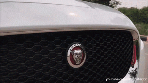 Jaguar Emblem on Car