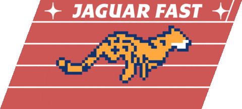 Jaguar Fast Running GIF