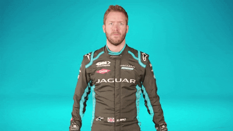 Jaguar Sam Bird Helmet GIF
