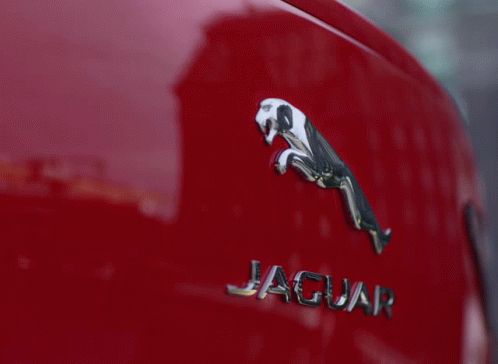 Jaguar Two Logo In One Car GIF