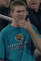 Jaguars It's So Amazing GIF