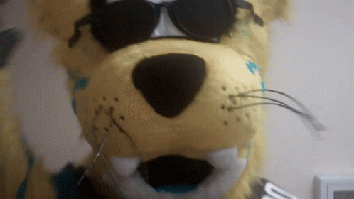 Jaguars Team Mascot Rocks GIF