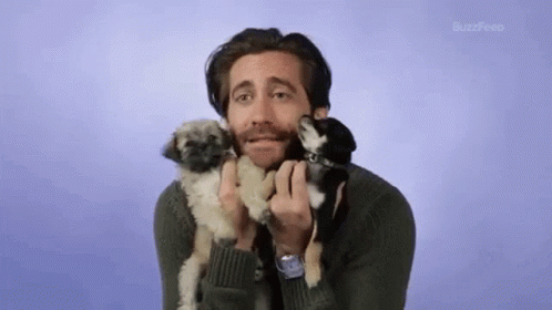 Jake Gyllenhaal Love Dogs Hugging GIF