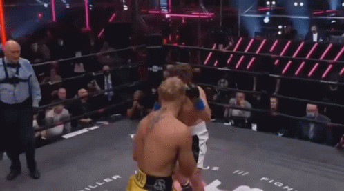 Jake Paul Boxing Match GIF