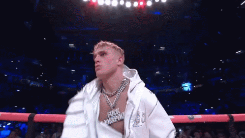 Jake Paul Cool Guy GIF