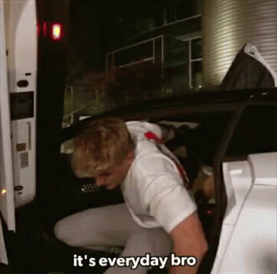 Jake Paul Everyday Bro Paul White GIF