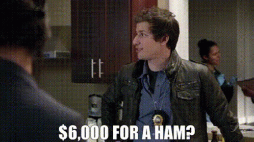 Jake Peralta 6,000 Dollars Ham GIF