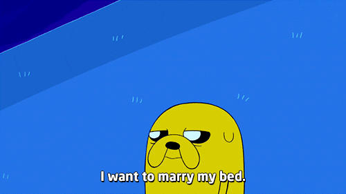Jake The Dog I Want To Marry My Bed GIF